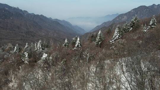 秦岭雪景