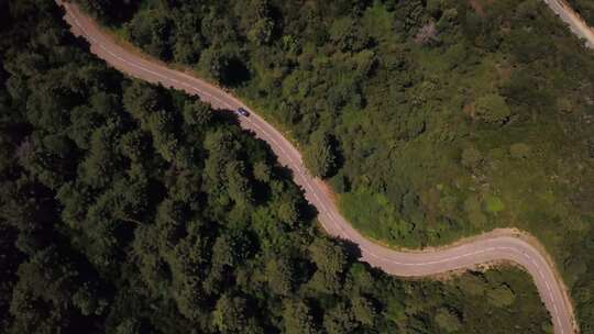 蜿蜒道路和茂密森林的鸟瞰图