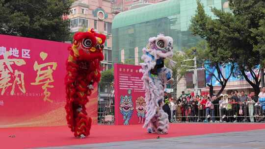 高桩醒狮狮王争霸中国传统民俗视频素材模板下载