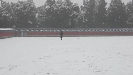 大雪中的天坛公园拍雪景的游客