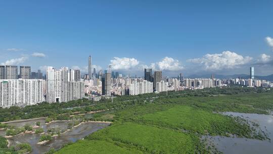 4K深圳福田红树林自然保护区航拍