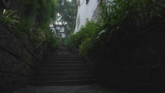 清晨 西湖宝石山小巷 幽静的登山步行道