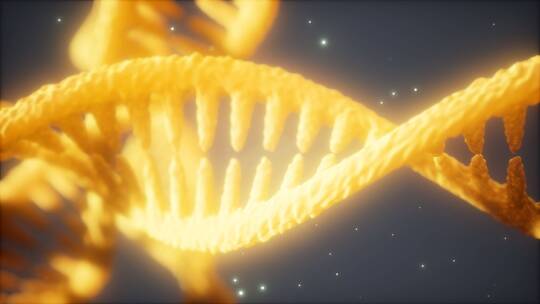 DNA螺旋结构展示科学研究