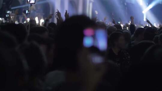 音乐会上粉丝随着音乐表演兴奋地跳舞视频素材模板下载