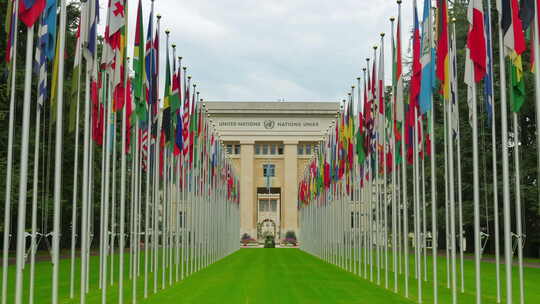 联合国，联合国旗帜，日内瓦，瑞士