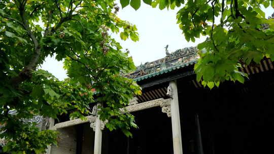 广州 陈家祠 陈氏书院