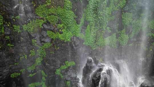 从瀑布上方的郁郁葱葱的热带雨林岩石表面上