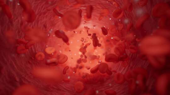 红细胞在血管中流动视频素材模板下载