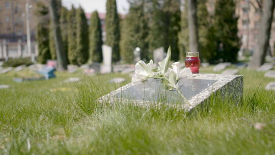 晴天墓地里有白花和蜡烛的墓碑视频素材模板下载