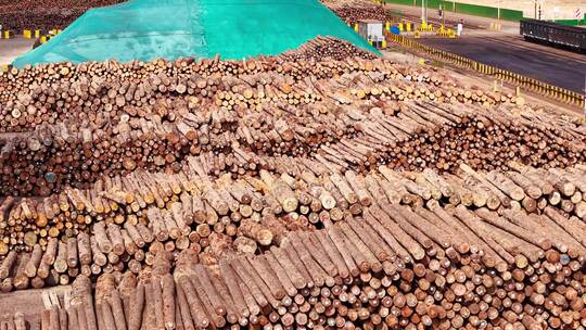 木材厂 木料