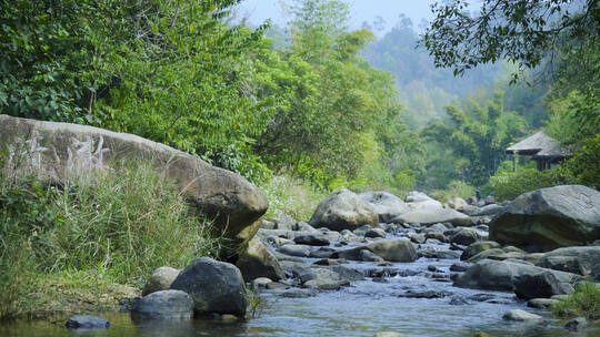 峡谷小溪流水自然风光素材
