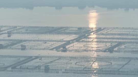 航拍苏州阳澄湖大闸蟹蟹田养殖阳澄湖风光