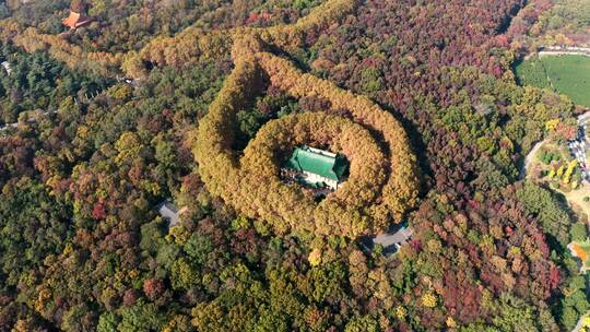 南京市钟山风景区美龄宫秋景航拍