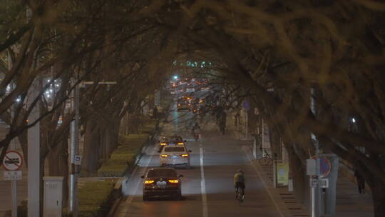 城市夜景街道  夜景车流