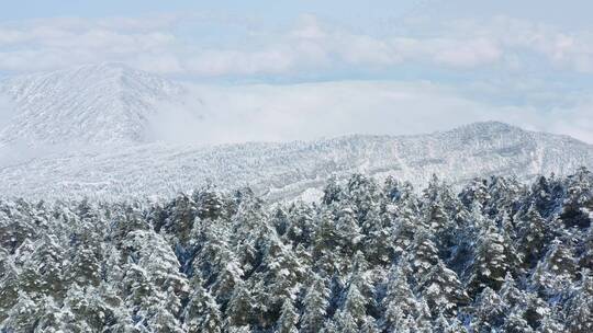 航拍四川峨眉山山谷雪景