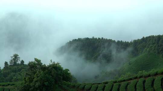 茶山云海延时