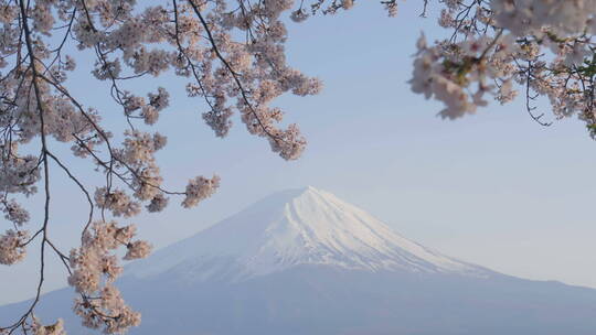 日本富士山美景视频素材模板下载