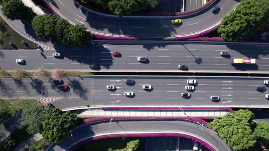 花卉盛开的广州道路交通航拍