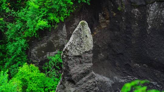 原始森林中的大峡谷