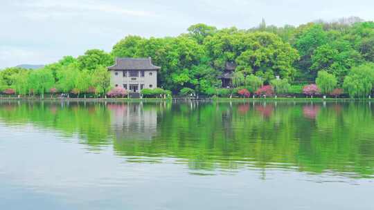 杭州西湖春天风景