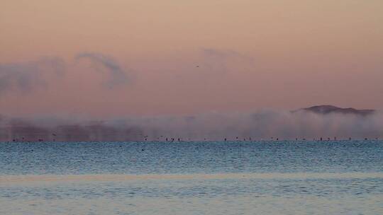 内蒙古达里诺尔湖晨雾缥缈，水鸟飞翔