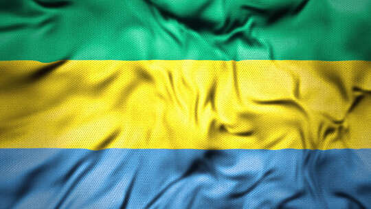 加蓬现实主义国旗