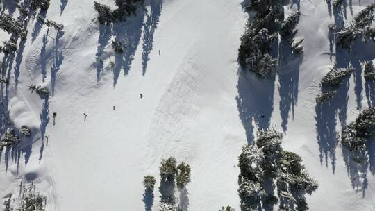 在加拿大一座山的山坡上滑雪_