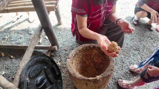 泰国清迈游客制作大象食物