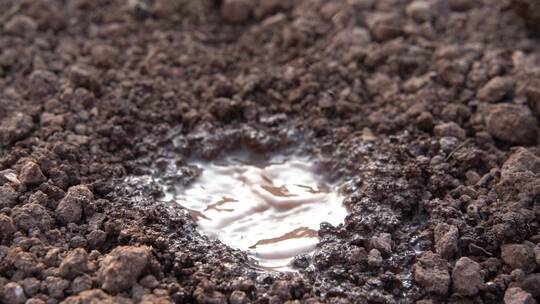 4K春雨滴落在泥土上浸润土壤实拍