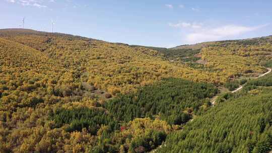 4K航拍秋天草原风景  五彩森林 秋天