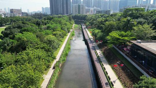 深圳西丽大学城视频素材模板下载