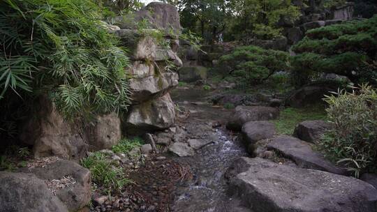 杭州西湖景区杭州花圃