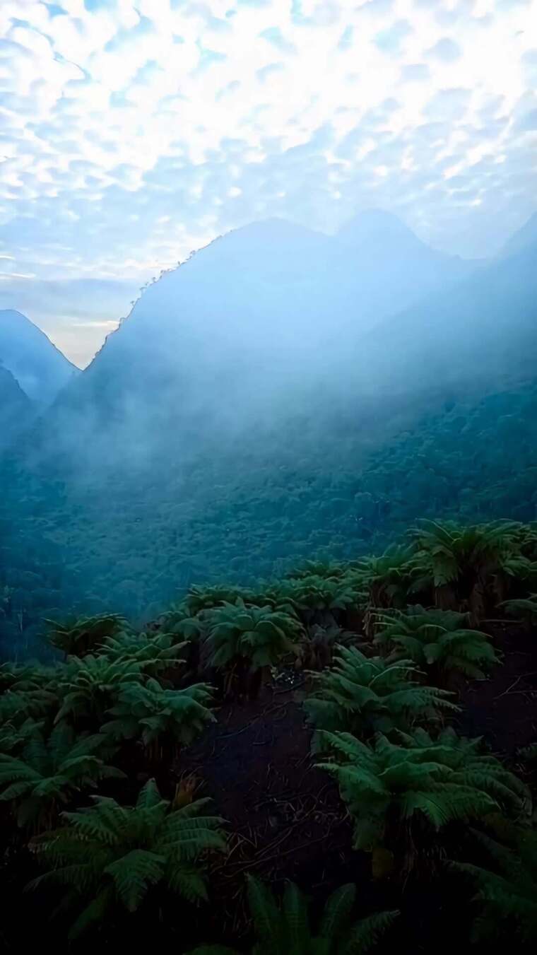 山间云雾缭绕的自然风光