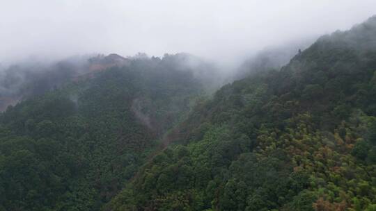 重庆北碚缙云山迎来降雨，云雾缭绕（延时）