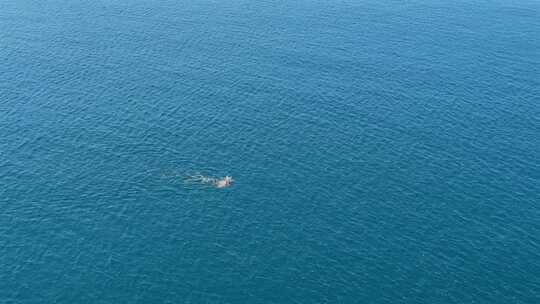 男人在海里仰泳