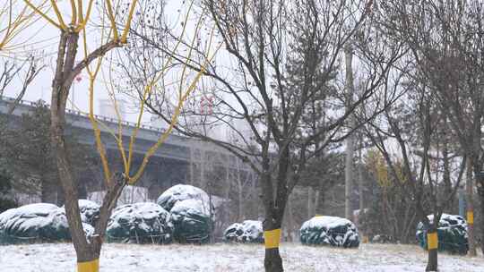 冬天下雪空镜头