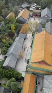 青岛湛山寺航拍风光