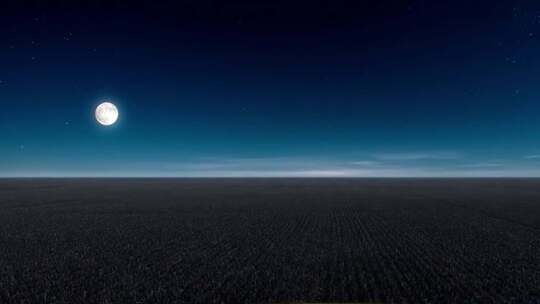 夜晚月亮田野