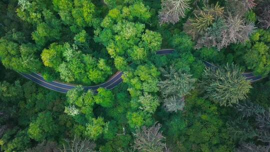 航拍一条蜿蜒曲折的道路