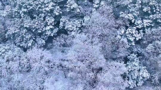 航拍杭州吴山城隍阁冬天雪景视频