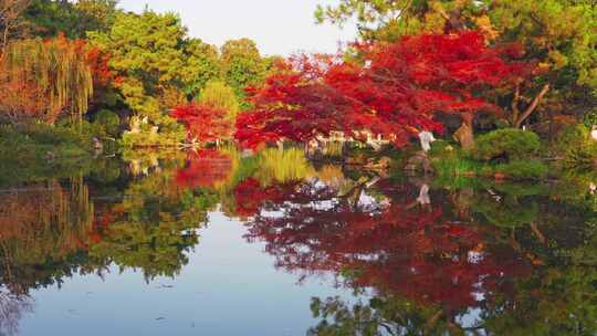 【合集】杭州西湖秋天风景