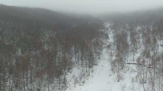 高山雪场雪道滑雪