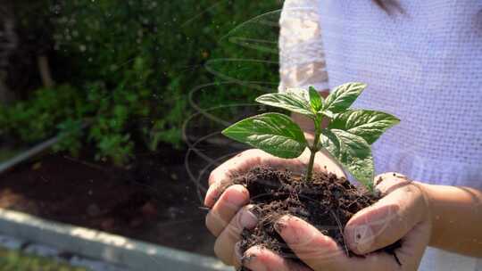 捧着一株植物的女人