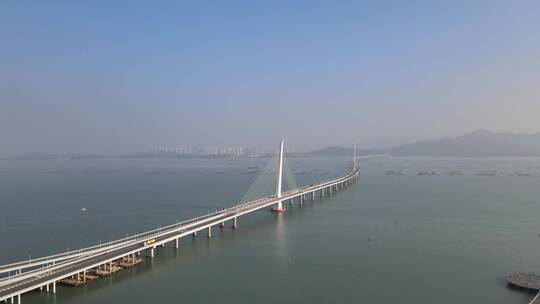 深圳湾大桥 大桥 跨境大桥 跨海大桥