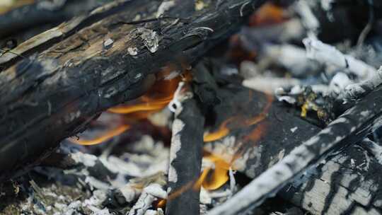 燃烧的木柴炭火堆