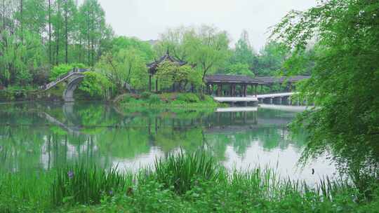 江南西湖浴鹄湾春天春雨中的亭台楼阁水榭
