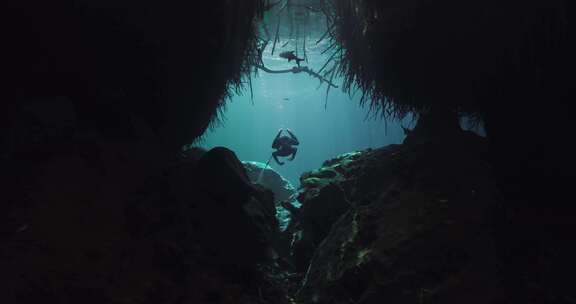 潜水员，游泳，浮潜，潜水