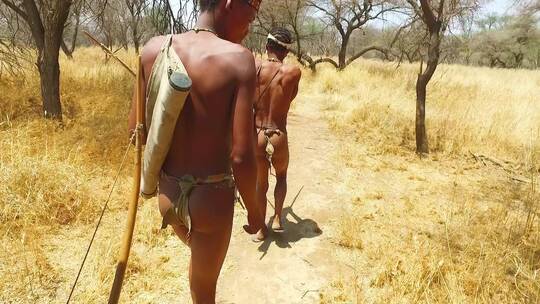 纳米比亚部落布曼猎人在打猎视频素材模板下载