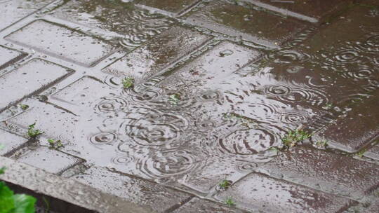 雨滴落在地上