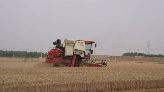 农田麦收 收割机